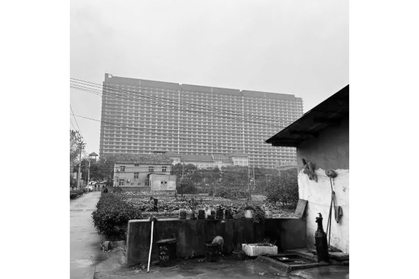 Pig farm image in black and white